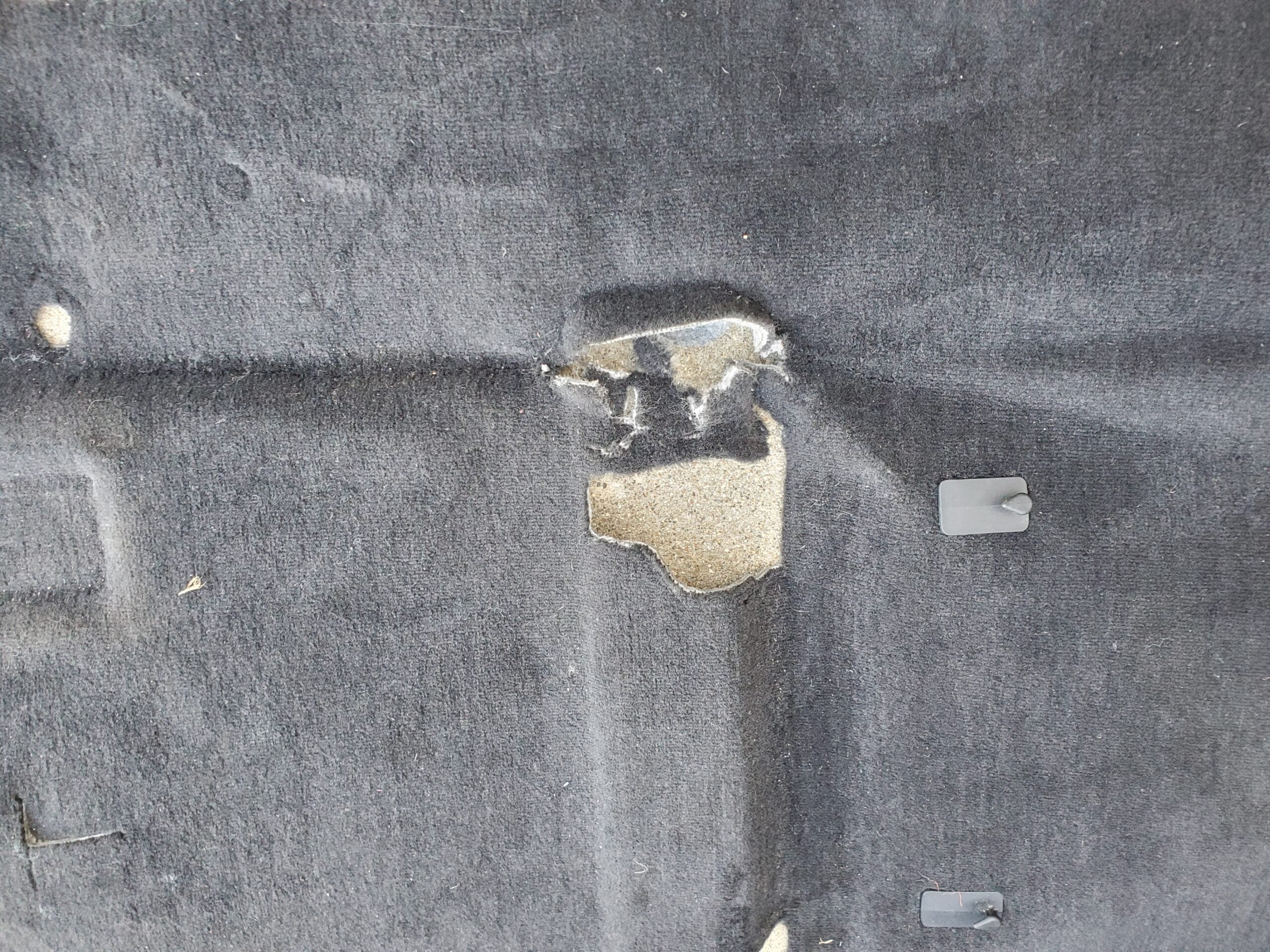 Gen.5 LH Carpet