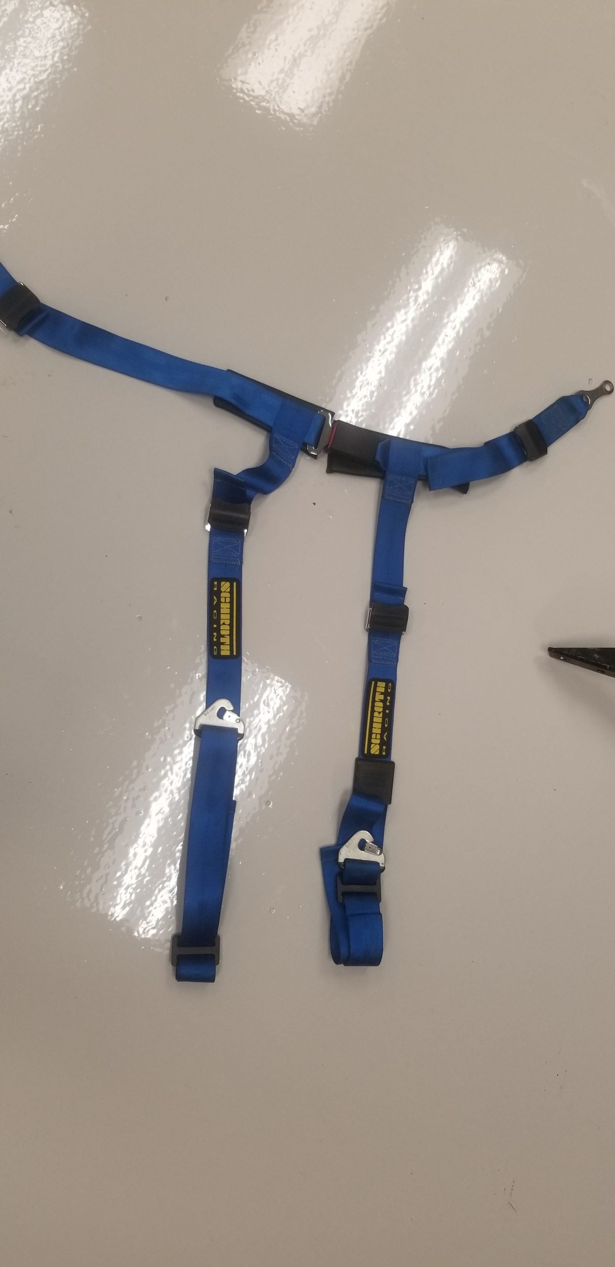 Gen 4 Schroth 4 point belt