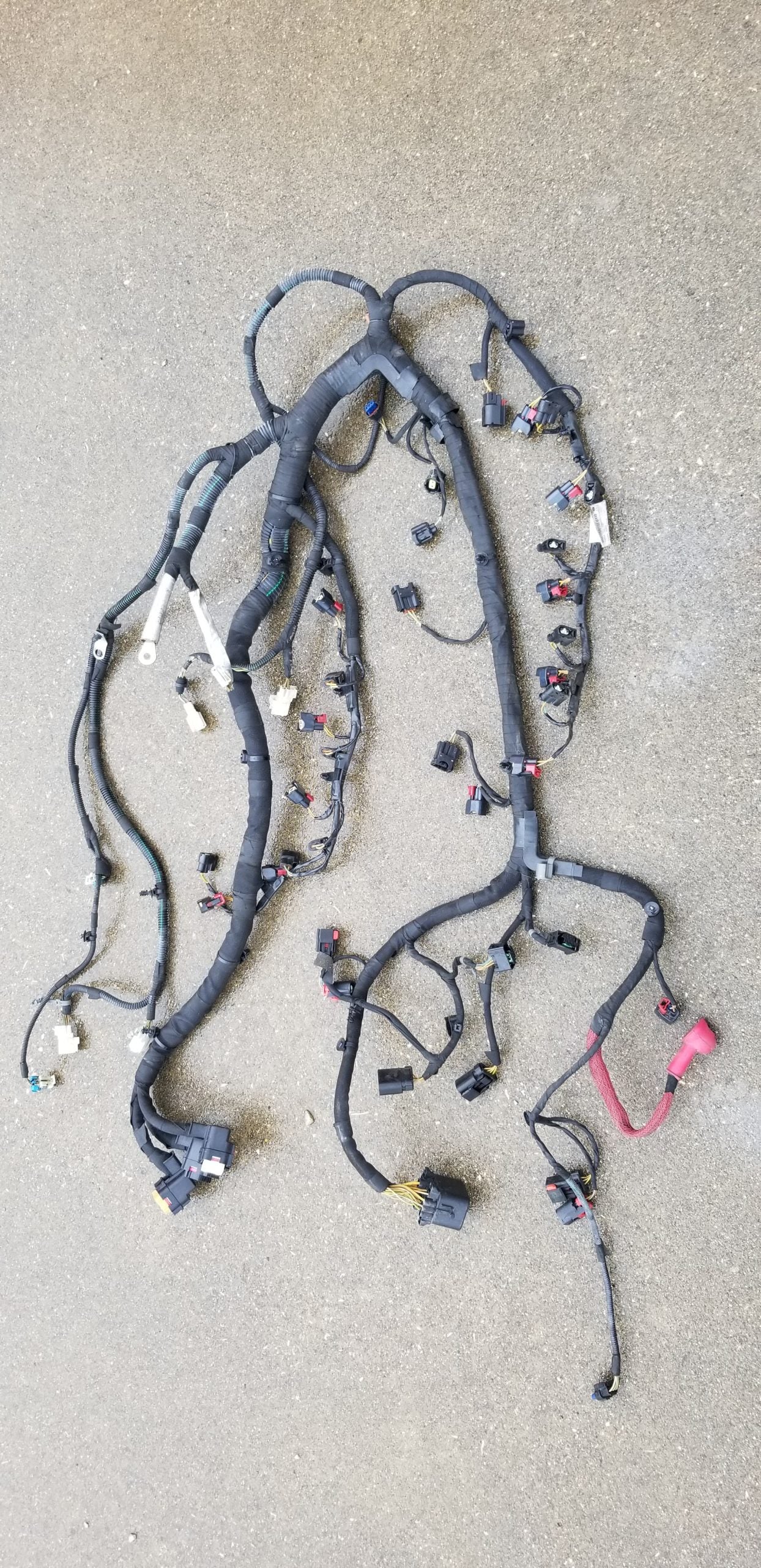 Gen 5 rear body harness