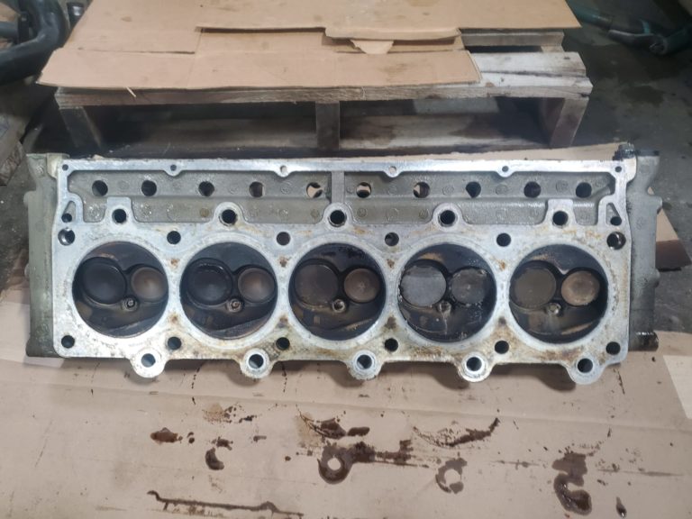 Gen.1 Head