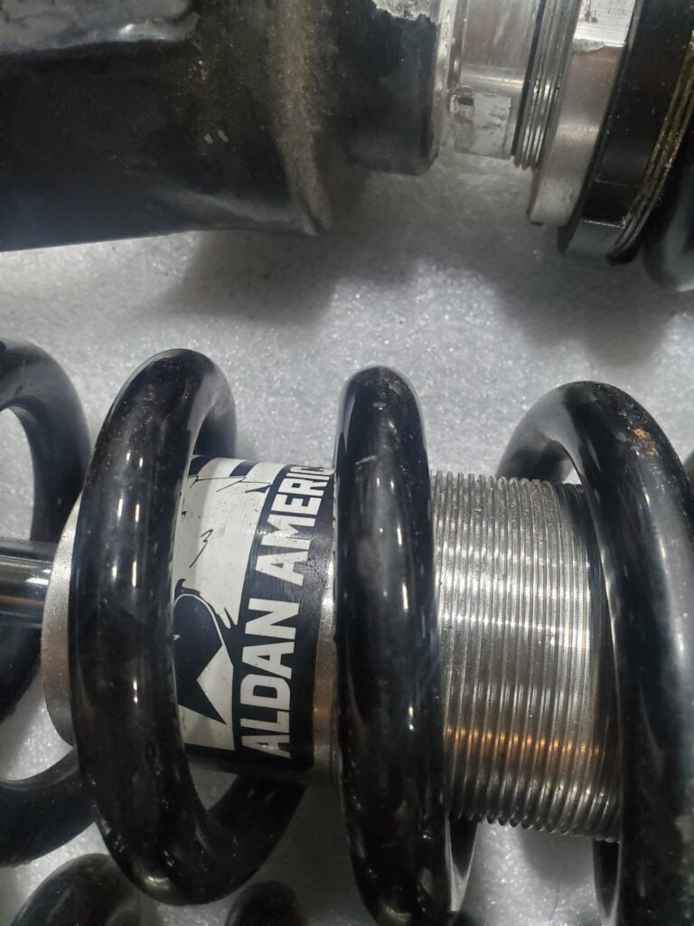 Aldan American Performance Shocks