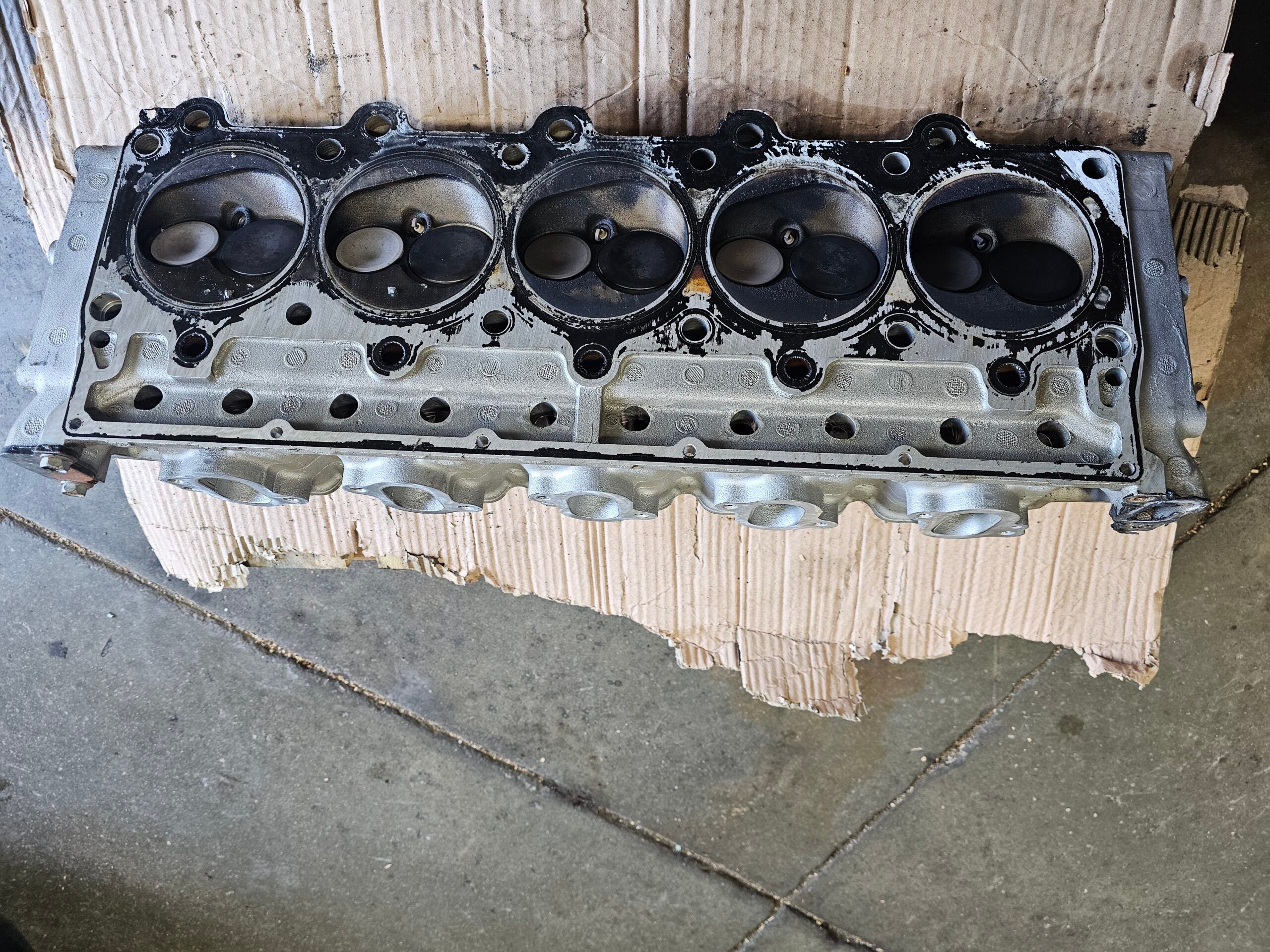 Gen.1 Head